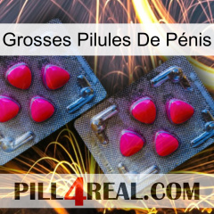Grosses Pilules De Pénis 14